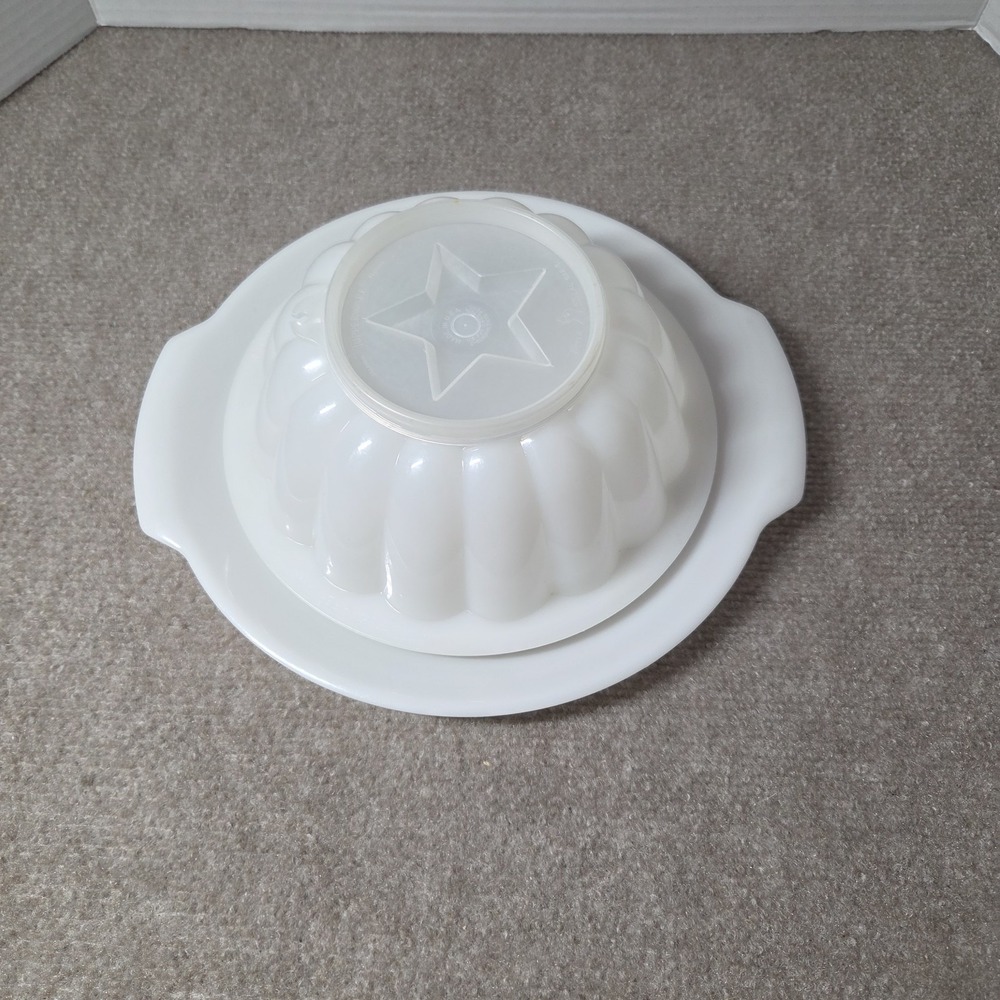 Vintage Tupperware Jel-N-Serve Gelatin Mold Set White Star Seal Tray 617 632